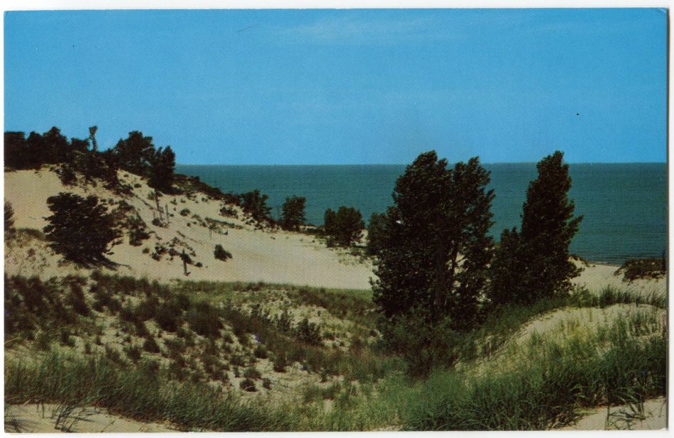 Indiana Dunes State Park, Chesterton, IN: Trail 9 